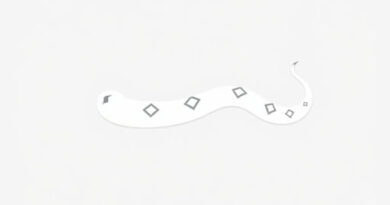 Young Western Diamondback Rattlesnake