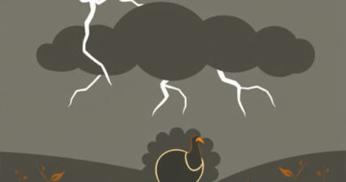 Youngstown Thanksgiving Storm Scenarios