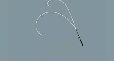 Abu Garcia Fantasista X Spinning Rod