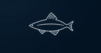 Best Quality Fluorocarbon Line