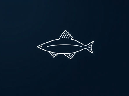 Best Quality Fluorocarbon Line