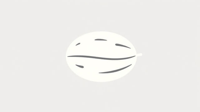 Fruit Similar to Muskmelon