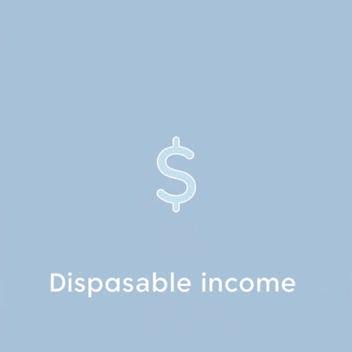 How Much Disposable Income