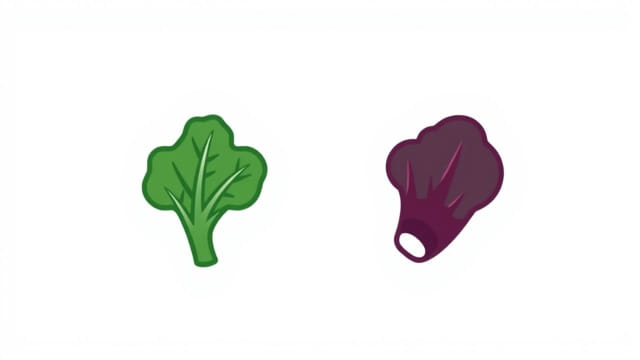 Kale and Radicchio Recipes