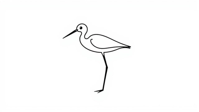 Marsh Wader Crossword Clue