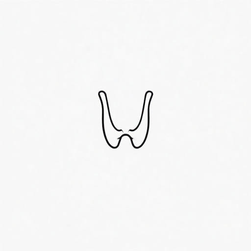 Number of Cartilage in Larynx