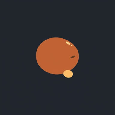 Nutmeg Does It Contain Nuts