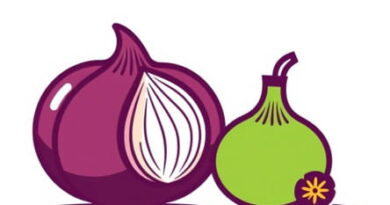 Onion And Green Onion