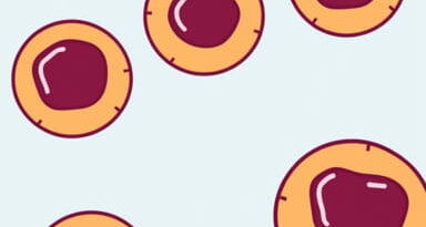 Peanut Butter And Jelly Thumbprint Cookies