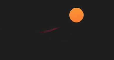 Pertaringa Belonging To The Hills Shiraz 2021