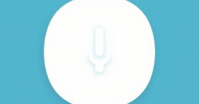 Pertinacity Pronunciation In English