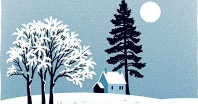 Pissarro Hoarfrost At Ennery