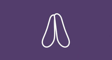 Pleader Meaning In English