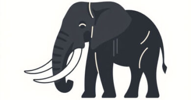 Price Of Elephant Tusk