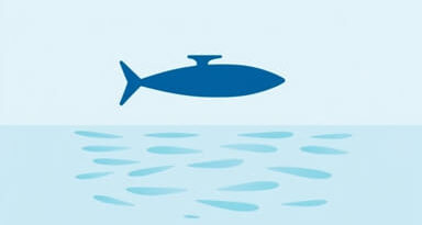 Prime Ocean Roustabout Pay