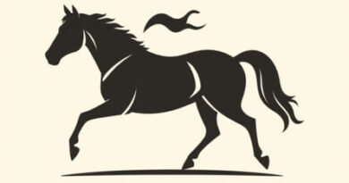 Professional Word For Horseplay