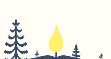 Quashing Of Fir In Forgery Cases