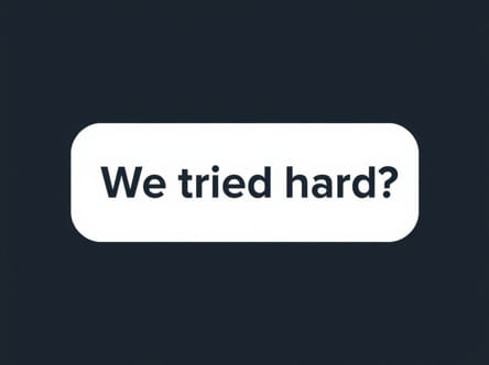 Question Tag For 'We Tried Hard'
