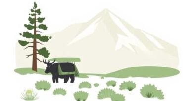 Ranger Sp 570 Sagebrush Green