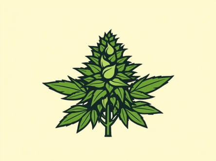 Rare Dankness Feminized Seeds