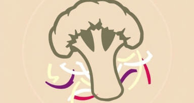 Recipe For Broccoli Slaw