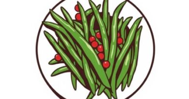 Recipe For Flavorful Green Beans