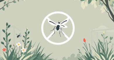 Repel Mosquitoes From Yard