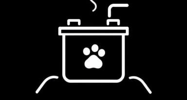 Replacement Battery For Watchdog Sump Pump