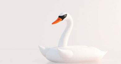 Ridiculous Inflatable Swan Thing