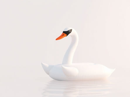 Ridiculous Inflatable Swan Thing