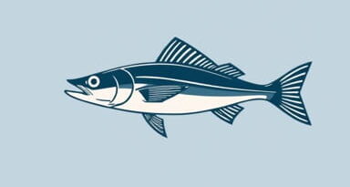 Rigging Garfish For Trolling