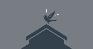 Roof Whirlybird Making Noise