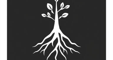 Root Word For Disputable