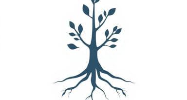 Root Word For Nodded