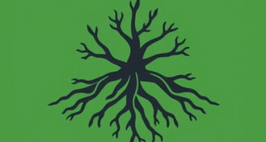 Root Word Of Considerable