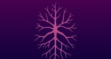 Root Word Of Leukocyte