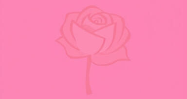 Rosa Que Linda Eres Meaning