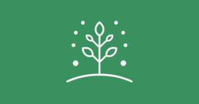 Seed Winnower For Sale