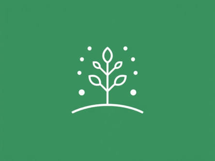 Seed Winnower For Sale