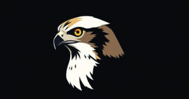 Sharp Shinned Hawk Size