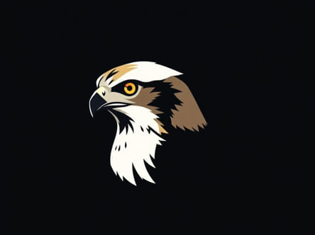 Sharp Shinned Hawk Size