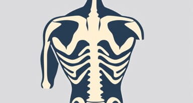 Shoulder Internal Rotation Muscles