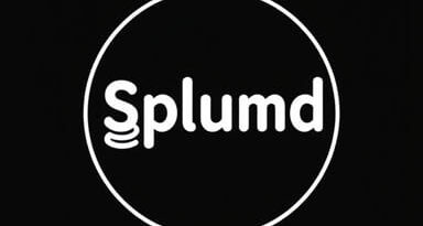 Splurge Meaning In Kannada