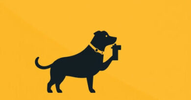 Spray Foam Insulation Watchdog