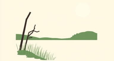 Sunken Meadow State Park