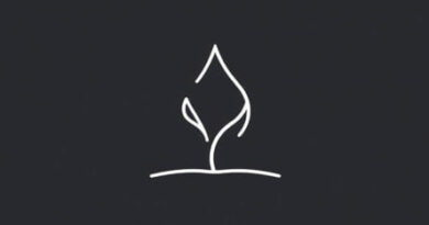 Synopsis Of Delicate Condition