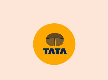 Tata Consumer Rights Issue