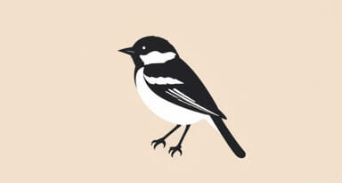 That Is A Wagtail Bengali Meaning