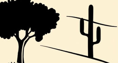 The Bluffer Paso Robles