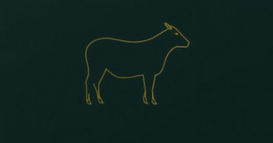 The Cowrie Restaurant Menu